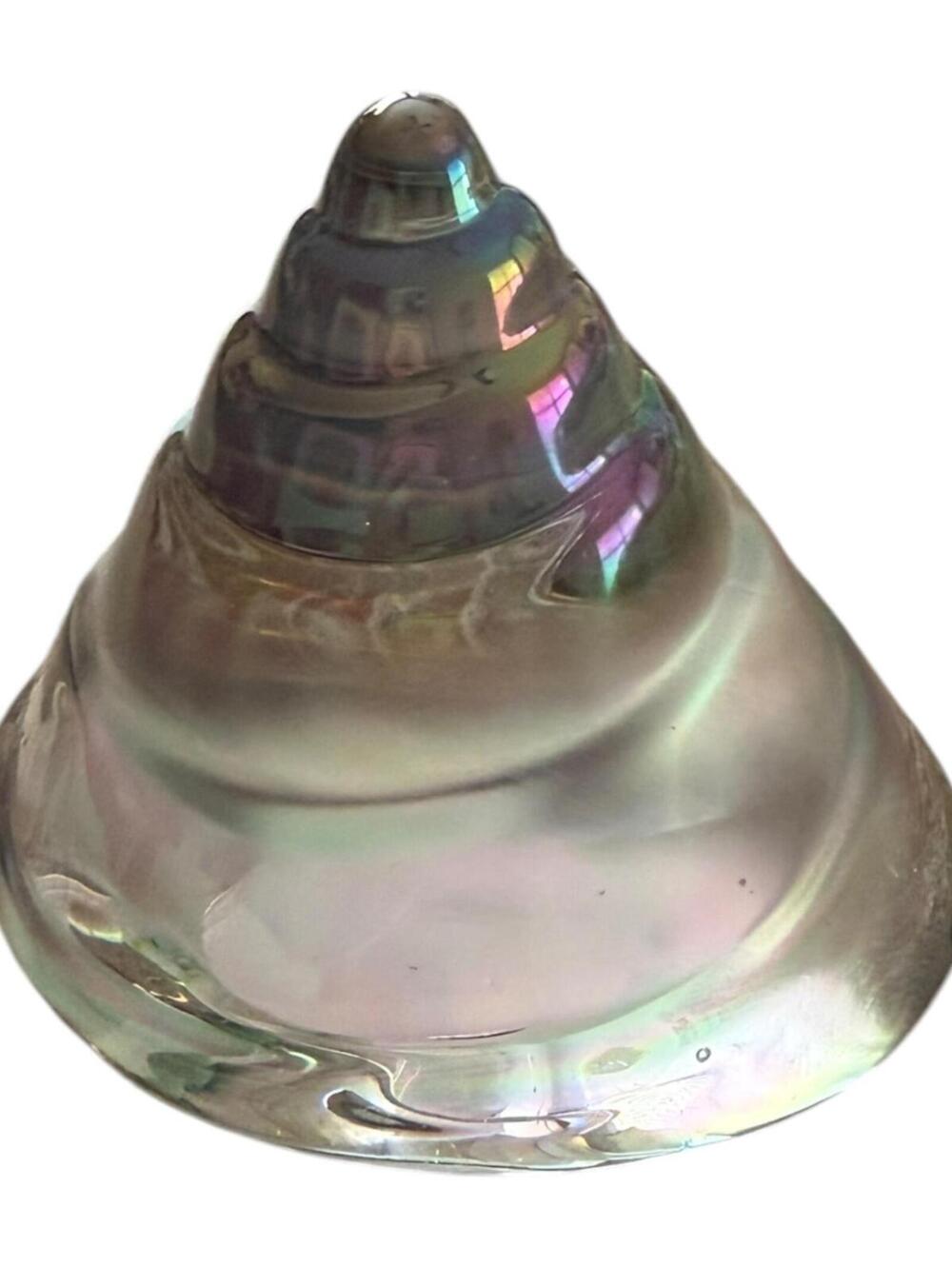 Clear Glass Iridescent Seashell Decorative Paperweight 4" W x 2.5" H